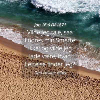 Picture 04 - Job 16:6 DA1871 - Vilde jeg tale, saa lindres min Smerte ikke; og - Bible Verse Picture
