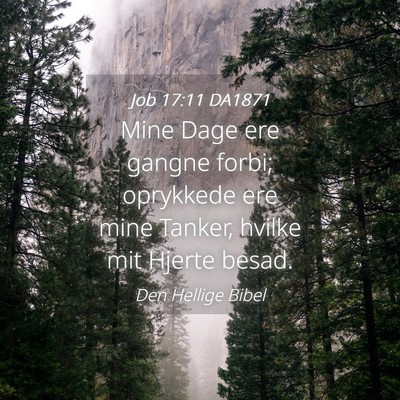 Picture 04 - Job 17:11 DA1871 - Mine Dage ere gangne forbi; oprykkede ere mine - Bible Verse Picture