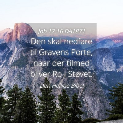 Picture 04 - Job 17:16 DA1871 - Den skal nedfare til Gravens Porte, naar der - Bible Verse Picture