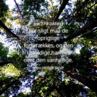 Picture 04 - Job 17:8 DA1871 - For sligt maa de oprigtige forskrækkes, og den - Bible Verse Picture