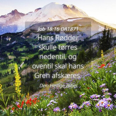Picture 04 - Job 18:16 DA1871 - Hans Rødder skulle tørres nedentil, og oventil - Bible Verse Picture