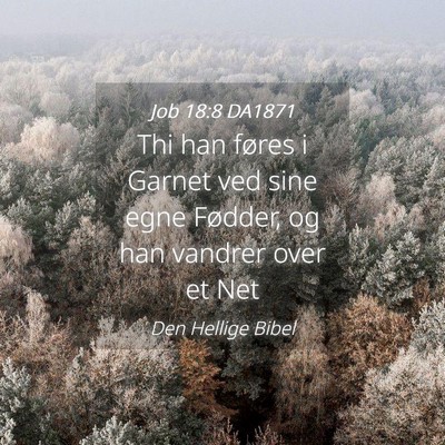Picture 04 - Job 18:8 DA1871 - Thi han føres i Garnet ved sine egne Fødder, og - Bible Verse Picture