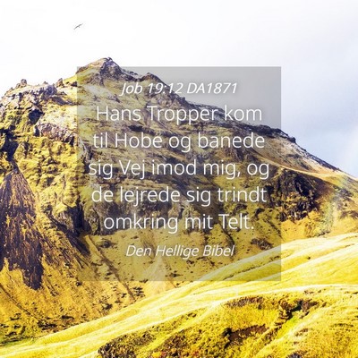 Picture 04 - Job 19:12 DA1871 - Hans Tropper kom til Hobe og banede sig Vej imod - Bible Verse Picture