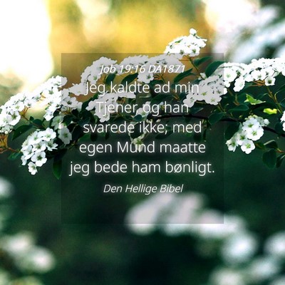 Picture 04 - Job 19:16 DA1871 - Jeg kaldte ad min Tjener, og han svarede ikke; - Bible Verse Picture
