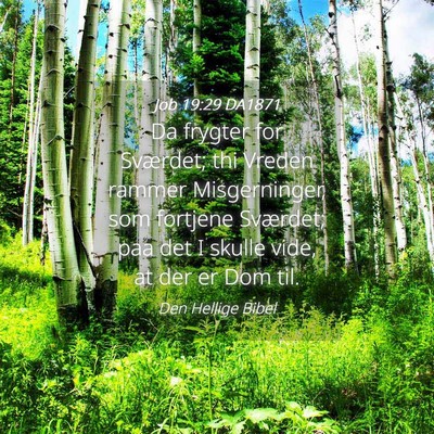 Picture 04 - Job 19:29 DA1871 - Da frygter for Sværdet; thi Vreden rammer - Bible Verse Picture