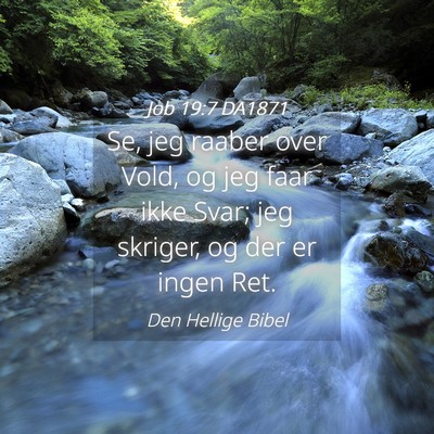 Picture 04 - Job 19:7 DA1871 - Se, jeg raaber over Vold, og jeg faar ikke Svar; - Bible Verse Picture