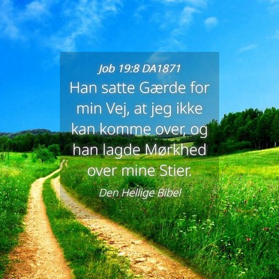 Picture 04 - Job 19:8 DA1871 - Han satte Gærde for min Vej, at jeg ikke kan - Bible Verse Picture