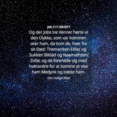 Picture 04 - Job 2:11 DA1871 - Og der Jobs tre Venner hørte al den Ulykke, som - Bible Verse Picture