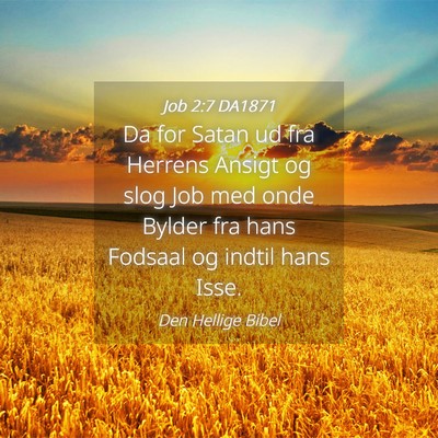 Picture 04 - Job 2:7 DA1871 - Da for Satan ud fra Herrens Ansigt og slog Job - Bible Verse Picture