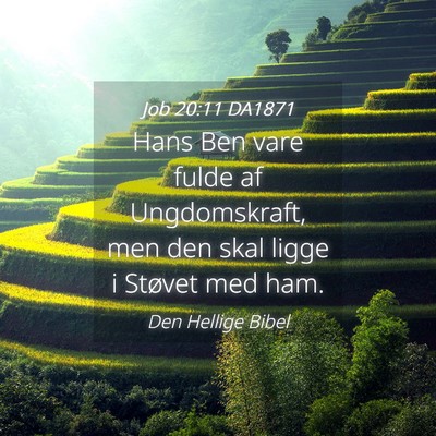 Picture 04 - Job 20:11 DA1871 - Hans Ben vare fulde af Ungdomskraft, men den skal - Bible Verse Picture