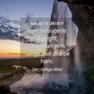 Picture 04 - Job 20:16 DA1871 - Han indsugede Øglegift; Otterslangens Tunge skal - Bible Verse Picture