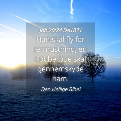 Picture 04 - Job 20:24 DA1871 - Han skal fly for Jernrustning, en Kobberbue skal - Bible Verse Picture