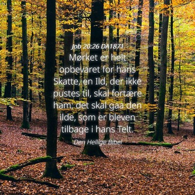 Picture 04 - Job 20:26 DA1871 - Mørket er helt opbevaret for hans Skatte, en - Bible Verse Picture