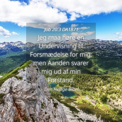 Picture 04 - Job 20:3 DA1871 - Jeg maa høre en Undervisning til Forsmædelse - Bible Verse Picture
