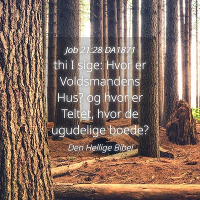 Picture 04 - Job 21:28 DA1871 - thi I sige: Hvor er Voldsmandens Hus? og hvor er - Bible Verse Picture
