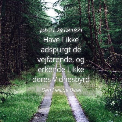 Picture 04 - Job 21:29 DA1871 - Have I ikke adspurgt de vejfarende, og erkende I - Bible Verse Picture