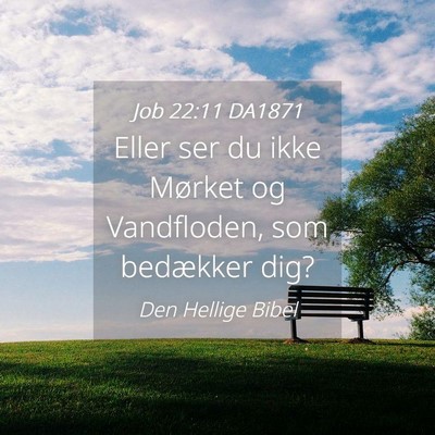 Picture 04 - Job 22:11 DA1871 - Eller ser du ikke Mørket og Vandfloden, som - Bible Verse Picture