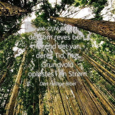 Picture 04 - Job 22:16 DA1871 - de, som reves bort, førend det var deres Tid, - Bible Verse Picture
