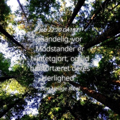Picture 04 - Job 22:20 DA1871 - „Sandelig, vor Modstander er tilintetgjort, og - Bible Verse Picture
