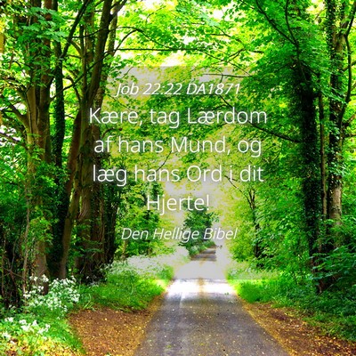 Picture 04 - Job 22:22 DA1871 - Kære, tag Lærdom af hans Mund, og læg hans Ord - Bible Verse Picture