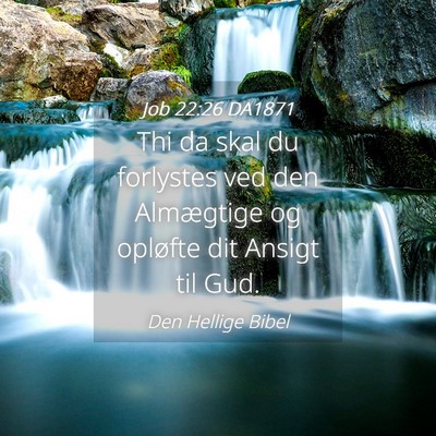 Picture 04 - Job 22:26 DA1871 - Thi da skal du forlystes ved den Almægtige og - Bible Verse Picture