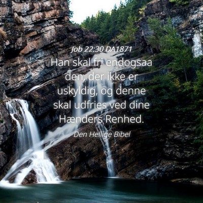 Picture 04 - Job 22:30 DA1871 - Han skal fri endogsaa den, der ikke er uskyldig, - Bible Verse Picture