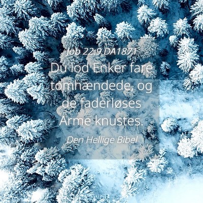 Picture 04 - Job 22:9 DA1871 - Du lod Enker fare tomhændede, og de faderløses - Bible Verse Picture