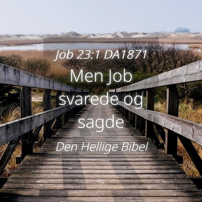 Picture 04 - Job 23:1 DA1871 - Men Job svarede og - Bible Verse Picture