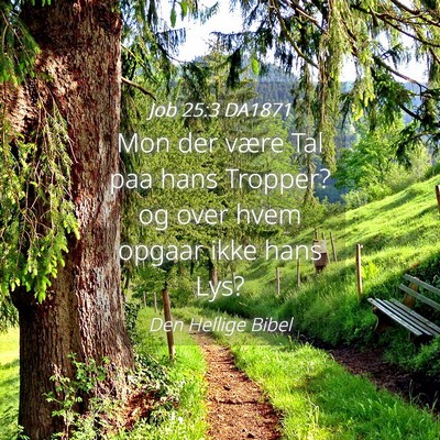 Picture 04 - Job 25:3 DA1871 - Mon der være Tal paa hans Tropper? og over hvem - Bible Verse Picture