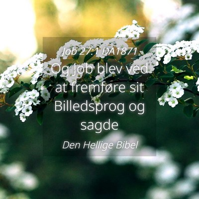 Picture 04 - Job 27:1 DA1871 - Og Job blev ved at fremføre sit Billedsprog og - Bible Verse Picture