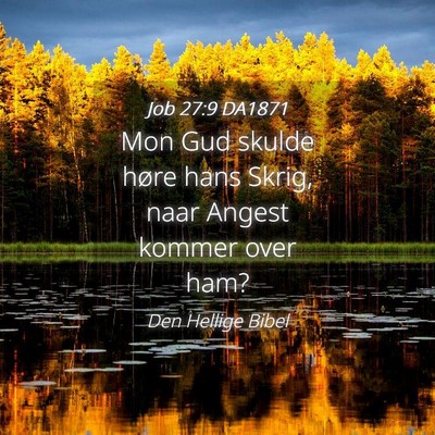 Picture 04 - Job 27:9 DA1871 - Mon Gud skulde høre hans Skrig, naar Angest - Bible Verse Picture