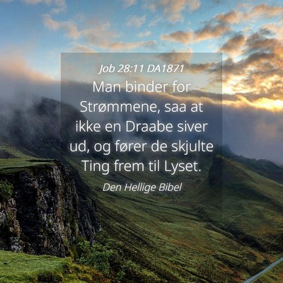 Picture 04 - Job 28:11 DA1871 - Man binder for Strømmene, saa at ikke en Draabe - Bible Verse Picture