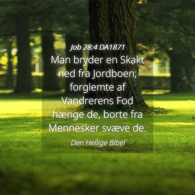 Picture 04 - Job 28:4 DA1871 - Man bryder en Skakt ned fra Jordboen; forglemte - Bible Verse Picture