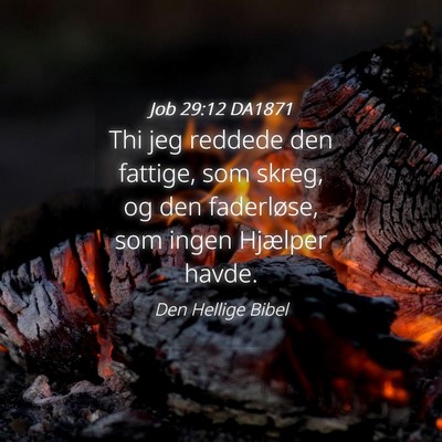Picture 04 - Job 29:12 DA1871 - Thi jeg reddede den fattige, som skreg, og den - Bible Verse Picture
