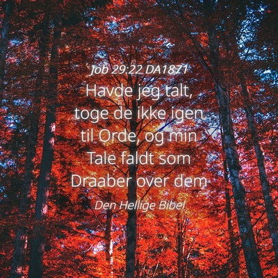 Picture 04 - Job 29:22 DA1871 - Havde jeg talt, toge de ikke igen til Orde, og - Bible Verse Picture