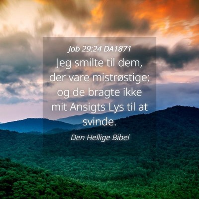 Picture 04 - Job 29:24 DA1871 - Jeg smilte til dem, der vare mistrøstige; og de - Bible Verse Picture