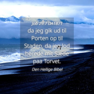 Picture 04 - Job 29:7 DA1871 - da jeg gik ud til Porten op til Staden, da jeg - Bible Verse Picture