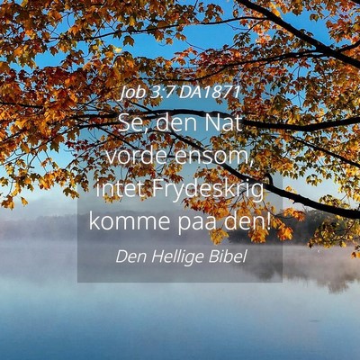 Picture 04 - Job 3:7 DA1871 - Se, den Nat vorde ensom, intet Frydeskrig komme - Bible Verse Picture