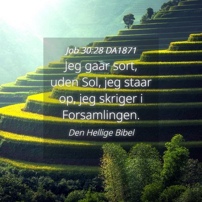 Picture 04 - Job 30:28 DA1871 - Jeg gaar sort, uden Sol, jeg staar op, jeg - Bible Verse Picture