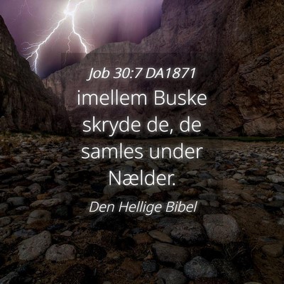 Picture 04 - Job 30:7 DA1871 - imellem Buske skryde de, de samles under - Bible Verse Picture