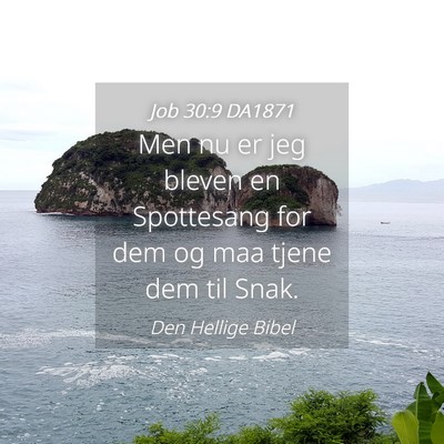 Picture 04 - Job 30:9 DA1871 - Men nu er jeg bleven en Spottesang for dem og maa - Bible Verse Picture