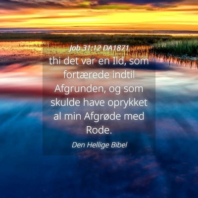 Picture 04 - Job 31:12 DA1871 - thi det var en Ild, som fortærede indtil - Bible Verse Picture