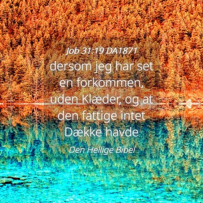 Picture 04 - Job 31:19 DA1871 - dersom jeg har set en forkommen, uden Klæder, og - Bible Verse Picture