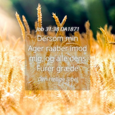 Picture 04 - Job 31:38 DA1871 - Dersom min Ager raaber imod mig, og alle dens - Bible Verse Picture
