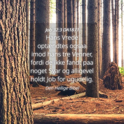 Picture 04 - Job 32:3 DA1871 - Hans Vrede optændtes ogsaa imod hans tre Venner, - Bible Verse Picture