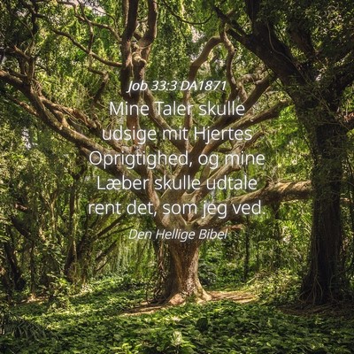 Picture 04 - Job 33:3 DA1871 - Mine Taler skulle udsige mit Hjertes Oprigtighed, - Bible Verse Picture