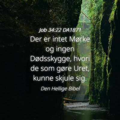 Picture 04 - Job 34:22 DA1871 - Der er intet Mørke og ingen Dødsskygge, hvori - Bible Verse Picture