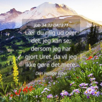 Picture 04 - Job 34:32 DA1871 - Lær du mig ud over det, jeg kan se; dersom jeg - Bible Verse Picture