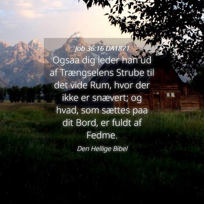 Picture 04 - Job 36:16 DA1871 - Ogsaa dig leder han ud af Trængselens Strube til - Bible Verse Picture