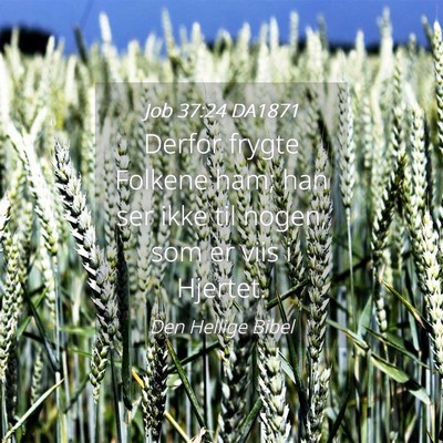 Picture 04 - Job 37:24 DA1871 - Derfor frygte Folkene ham; han ser ikke til - Bible Verse Picture